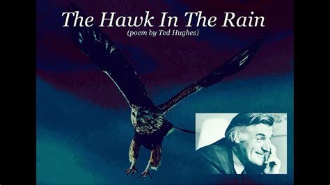 The Hawk In The Rain Ted Hughes Youtube