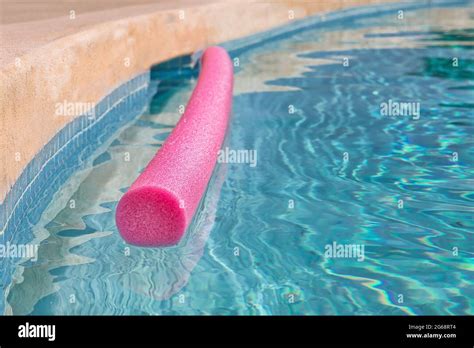 Snake In Swimming Pool