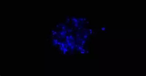 Triboluminescence - QS Study