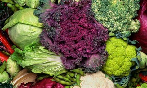 Cruciferous Vegetables Bad For Your Thyroid Myth Or Truth Natural