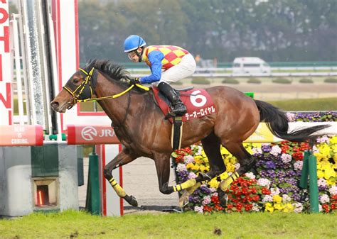 【阪神大賞典】2番人気テーオーロイヤルが5馬身差の圧勝劇 菱田「すごく強い勝ち方をしてくれて感謝」 競馬ニュース Netkeiba