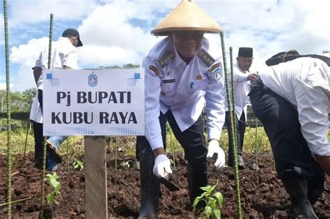 Gerakan Tanam Cabai Salah Satu Upaya Pengendalian Inflasi Pangan