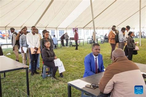 Chinese Firms Use Zambia S Agricultural Commercial Show To Attract Job