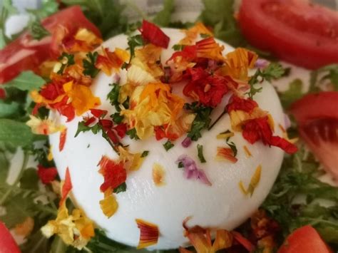 Recettes De Burrata De Bal Des Saveurs