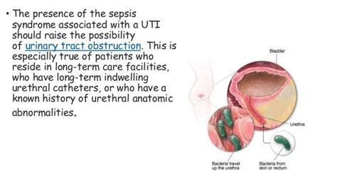 Proteus Mirabilis Uti Treatment