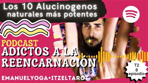 Adictos A La ReencarnaciÓn 10 Drogas AlucinÓgenas Naturales 🌵🍀💊🍄🌈💊