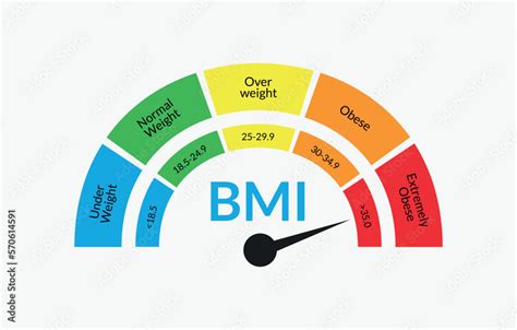 Body Mass Index Infographic Chart. Colorful BMI Chart Vector Illustration With White Isolated ...