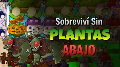 ES POSIBLE JUGAR SIN PLANTAS En Las FILAS DE ABAJO Plants Vs Zombies