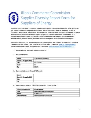 Fillable Online Mpg Supplier Diversity Report Form For Suppliers