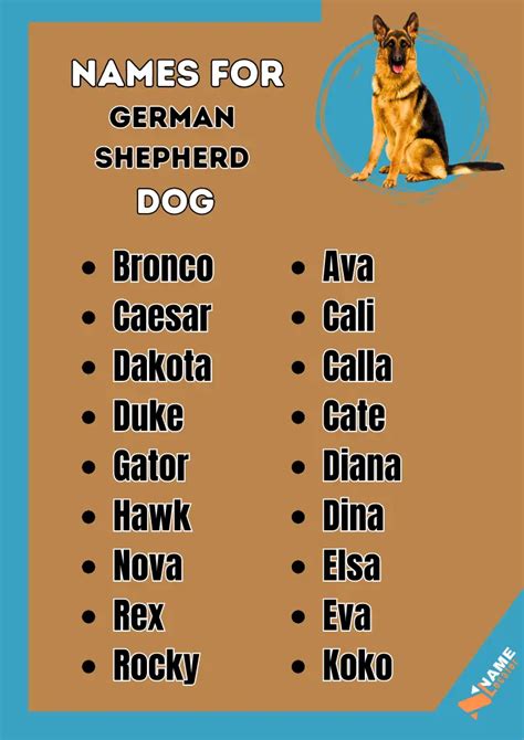 300+ German Shepherd Dog Names With Meaning