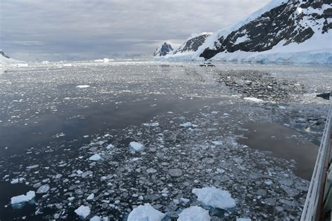 Incredible Antarctica by Seabourn Quest 2019 - foodtravel.life