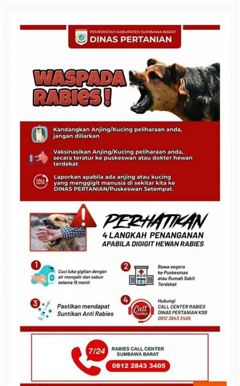 Iklan Waspada Rabies Dari Distan KSB Penapewarta