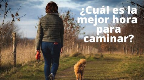 Cuál es la mejor hora del día para caminar Runningvillarejo es