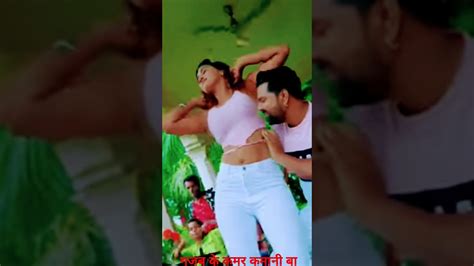 गजब के कमर कमानी बा भोजपुरी सोंग Samarsingh Viralvideo Viralreels Bhojpurisong Raju88066🍓🌶