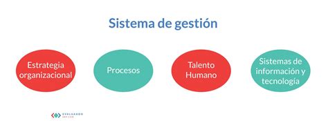 Cómo obtener información de la gestión empresarial Evaluando ERP