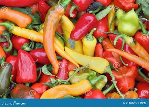 Spicy Peppers Stock Photo Image Of Ripe Colourful Heap 51482546