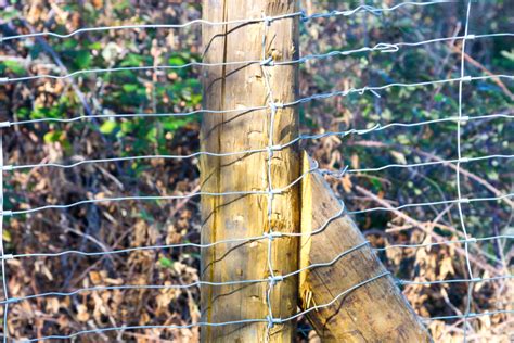 Pose de grillage souple sur poteau bois les secrets de la réussite