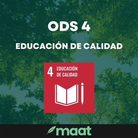 Significado Meta Y Acciones Del Ods 4 Educación De Calidad