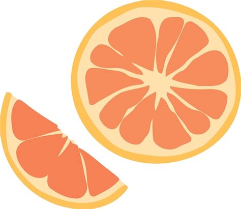 Premium Vector Sliced Orange Citrus Fruit