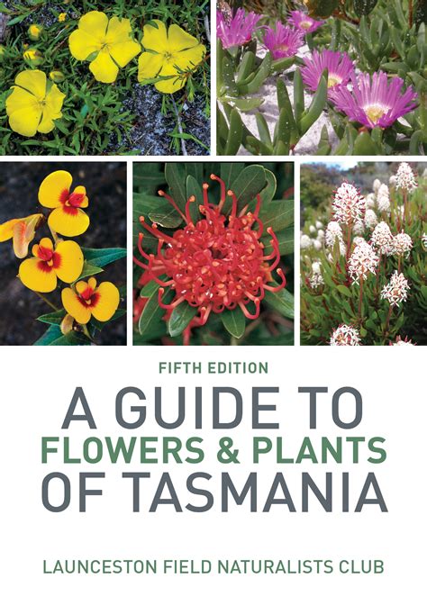 A Guide To Flowers And Plants Of Tasmania Ecobits Australia