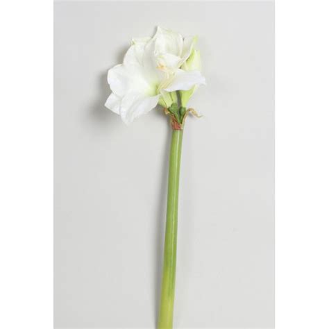 Kunstig Amaryllis Hvid L Cm Kunstige Blomster Grene Stilke