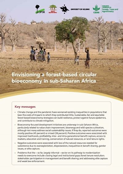 Envisioning A Forest Based Circular Bioeconomy In Sub Saharan Africa