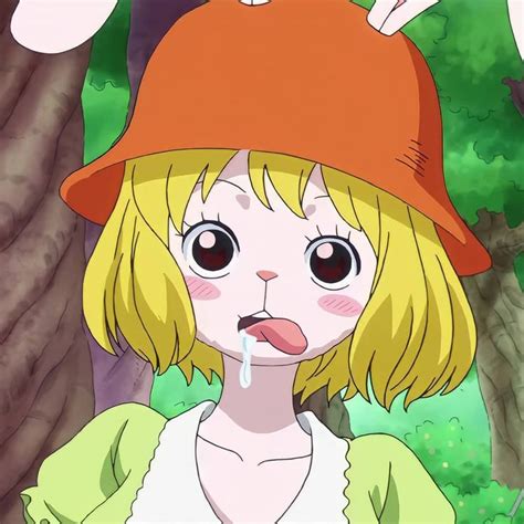 Carrot One Piece Cartoon Profile Pictures One Piece Anime One Peice Anime