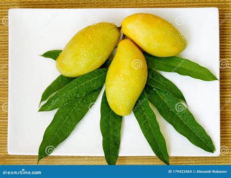 Yellow Mangoes With Leaves On A White Plate Drops Of Water On The