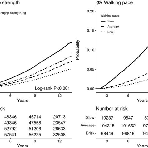 KaplanMeier Curves Of Cumulative Hazards Of Incident Hypertension By