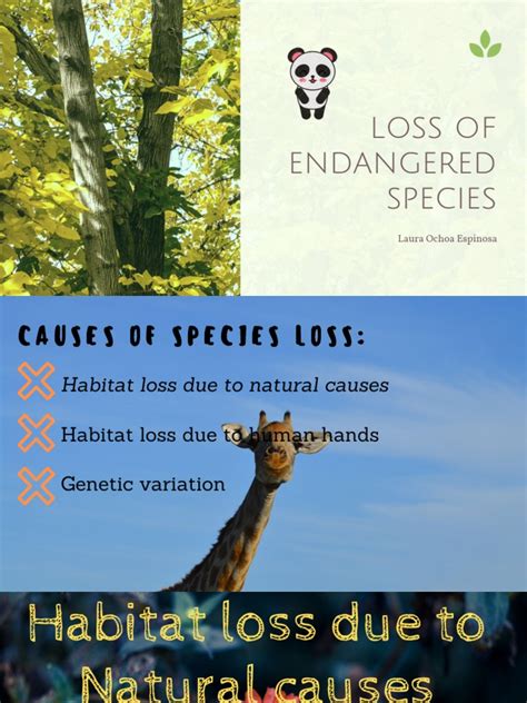 loss of endangered species (1)