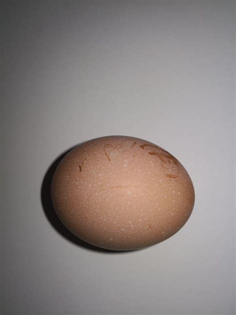 An Egg With Writing On It Sitting On A Table