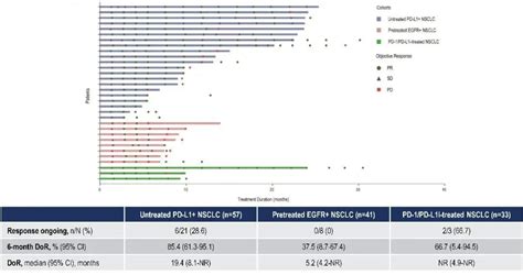 2023 Esmo Asia｜恒瑞创新药shr 1701治疗晚期非小细胞肺癌i期研究亮相口头报告医药新闻 Bydrug 一站式医药资源共享中心