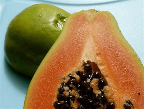 Video Gmo Story The Near Death And Rescue Of The Hawaiian Papaya