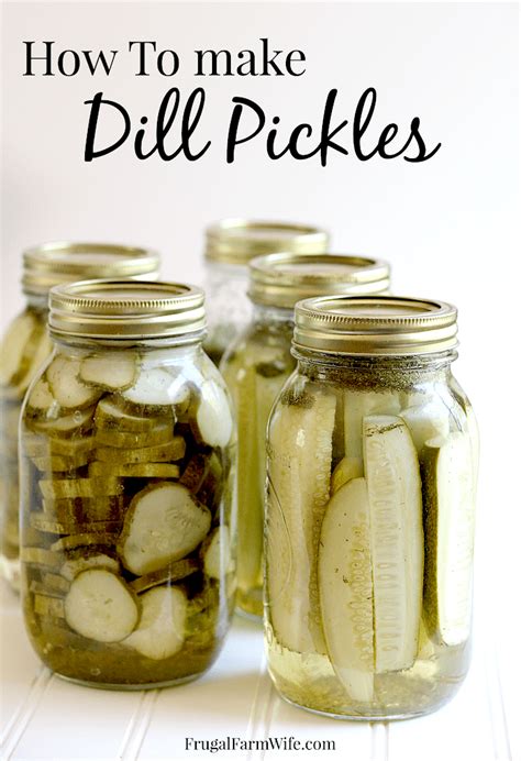 Delicious Dill Pickle Recipe | The Frugal Farm Wife