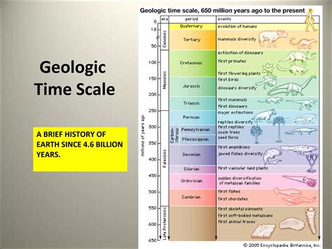 geological history  earth timeline