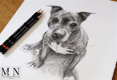 dog-pencil-drawing-5 - Melanie & Nicholas Pet Portraits