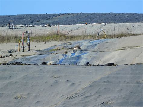 Gallery - Coffin Butte Facts