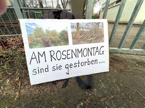 Baum Massaker in Finthen an Fastnacht BI fürchtet Stadt Mainz