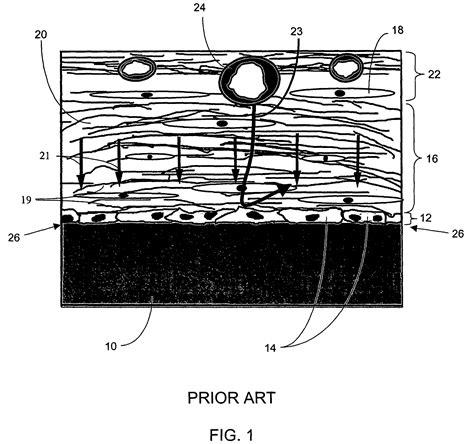porous membrane patented technology retrieval search results eureka