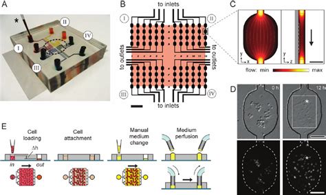 Microfluidic Cell Culture Array Design And Operation A Photograph Of