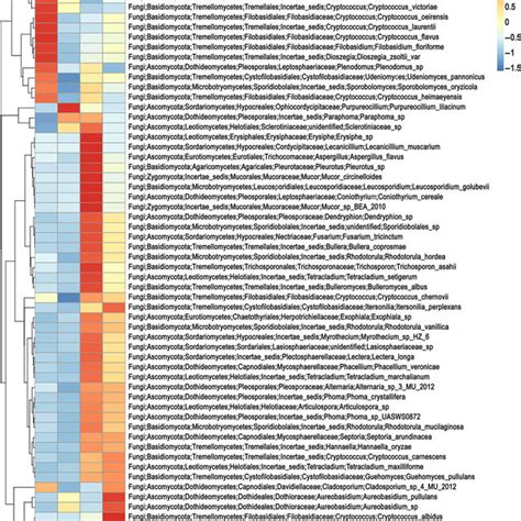 Heat Maps Of The Relative Abundance Of Culturable Fungal Endophytes Of