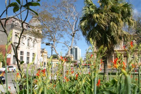 Viaje Por Pelotas Praça Coronel Pedro Osório