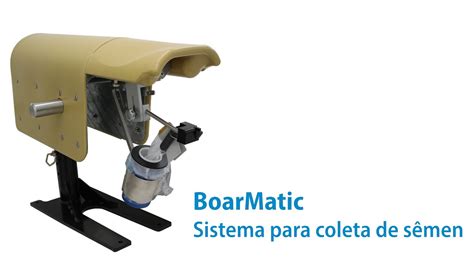 Sistema para coleta de sêmen BoarMatic da Minitube YouTube