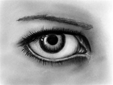 Realistic Eye Sketch at PaintingValley.com | Explore collection of Realistic Eye Sketch