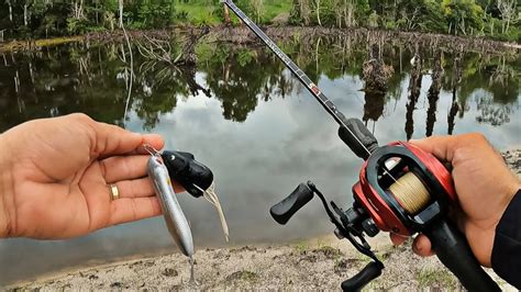 ESSAS ISCAS vão fazer a Diferença nas suas pescarias de TRAÍRAS YouTube