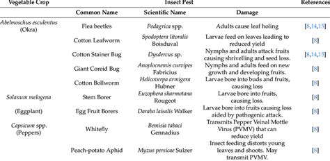 Major insect pests of some vegetable crops in Nigeria. | Download Scientific Diagram