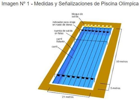 Ayúdenme por fis Dibujo de una pisina olímpica con sus medidas