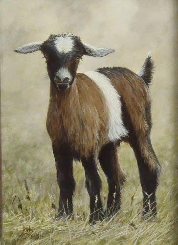 Goat Painting On Canvas At Explore Collection Of