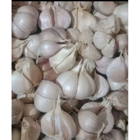 Jual Bawang Putih Kating Kg Shopee Indonesia