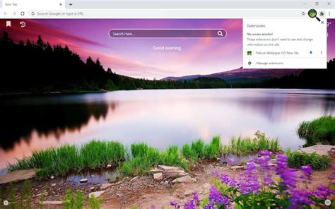 Nature Wallpaper HD New Tab pour Google Chrome - Extension Télécharger